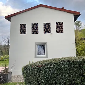  Vakantiehuis Typical Tuscan Barn With Private Pool
